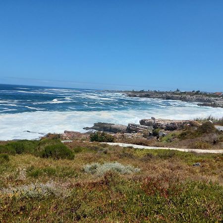 The Sun, Whales & Waves - Seafront Apartment Hermanus Eksteriør billede