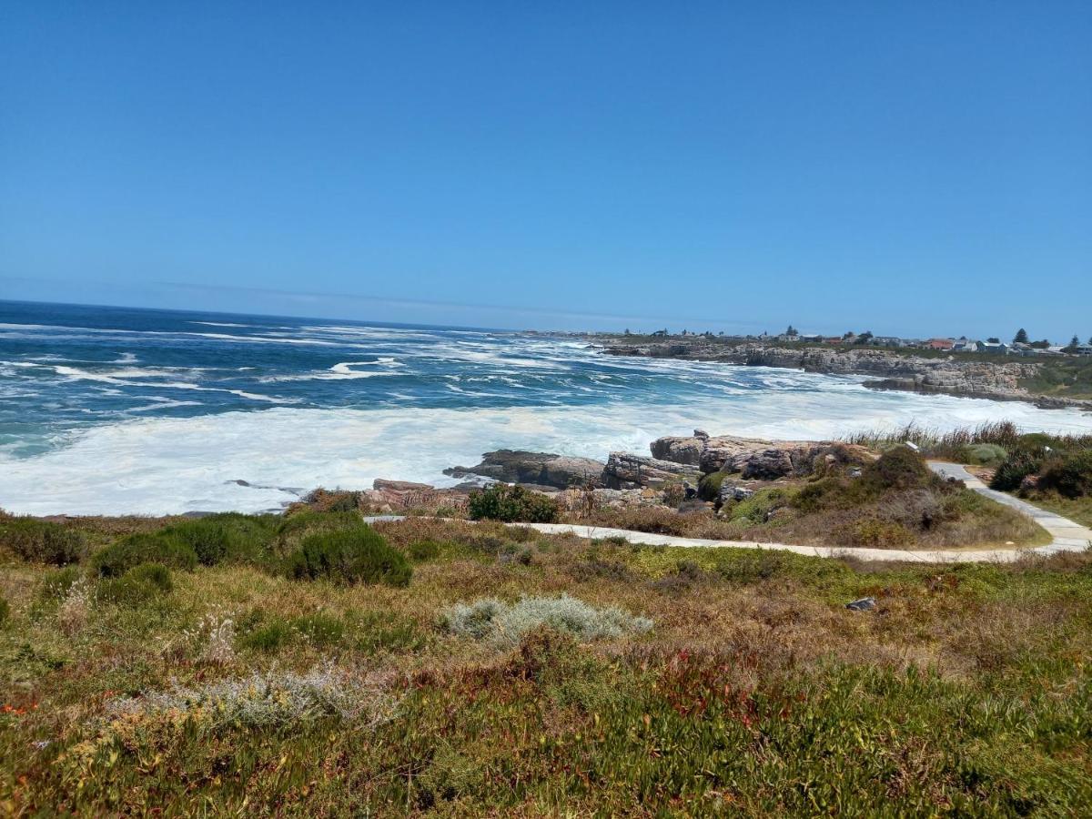 The Sun, Whales & Waves - Seafront Apartment Hermanus Eksteriør billede