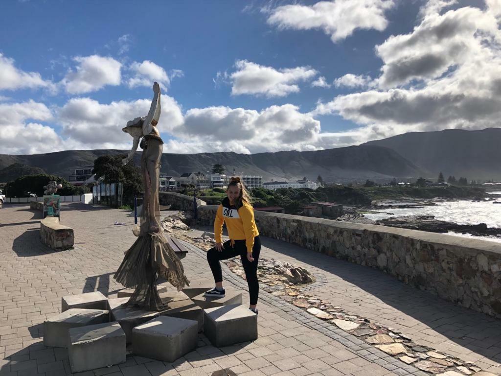 The Sun, Whales & Waves - Seafront Apartment Hermanus Eksteriør billede