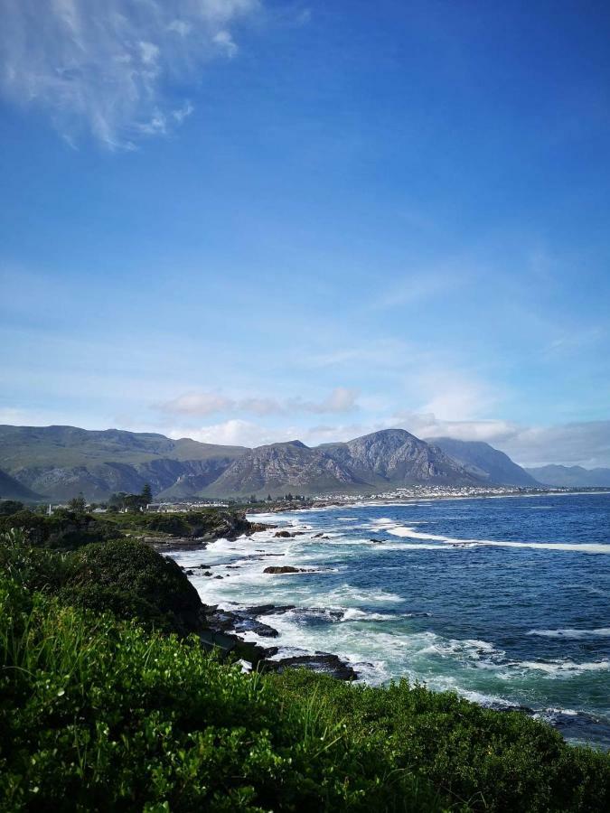 The Sun, Whales & Waves - Seafront Apartment Hermanus Eksteriør billede
